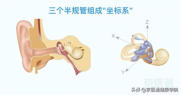 出門暈車怎麼辦？教你3個方法當場緩解