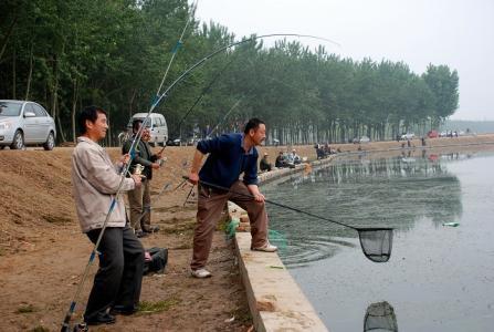 此三種河流地形，個個都藏有魚群，直接開釣，30分鐘就釣上一筐魚