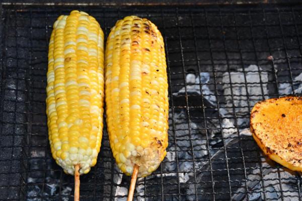 半野釣——山頂的魚塘