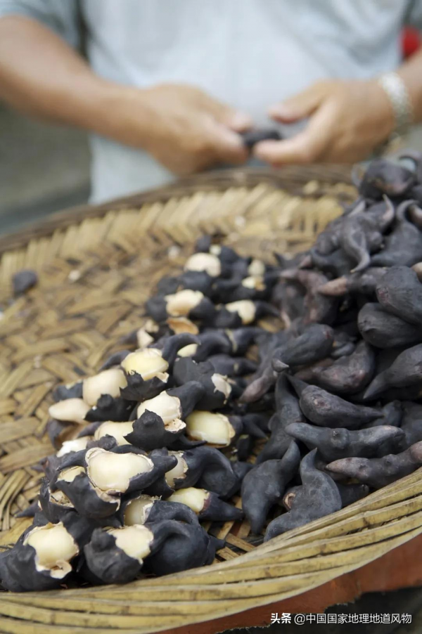 江南人的“水八仙”,北方人真的不懂 江南人的“水八仙”,北方人真的不懂