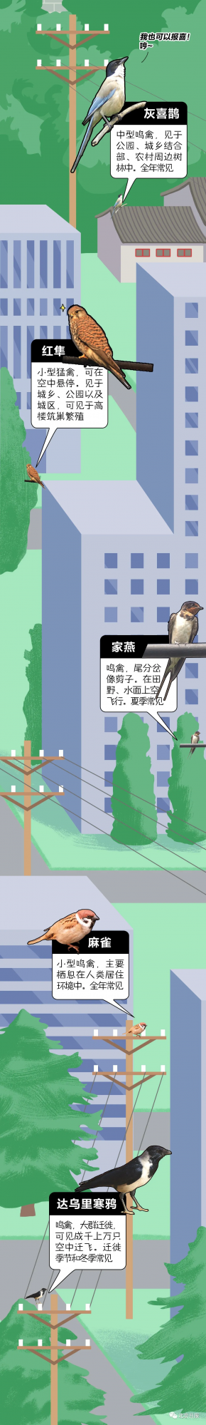 北 京 百 鳥 圖 鑑