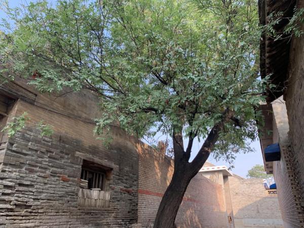 不靠煤炭,山西的經濟還能靠什麼? 不靠煤炭,山西的經濟還能靠什麼?