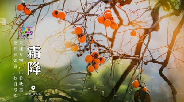 用二十四節氣開啟山東，齊風魯韻美如畫