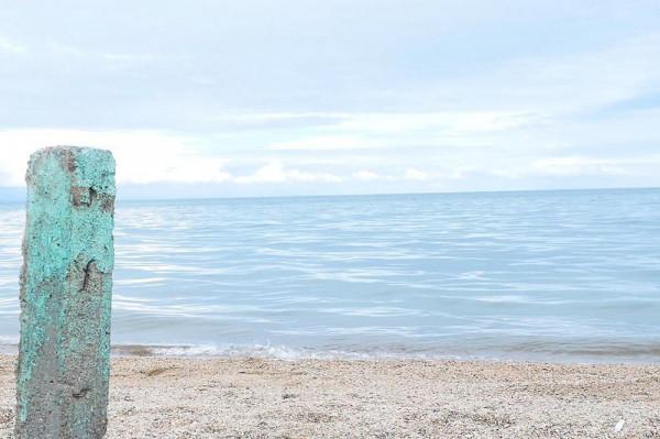 標緻4008環青海長測Day9：鳥島叫“蚊子島”，沿青海沿線達剛察！