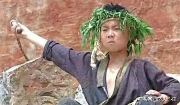 民間故事：錦鯉降臨