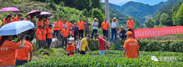種養迴圈經濟存在的問題和解決措施