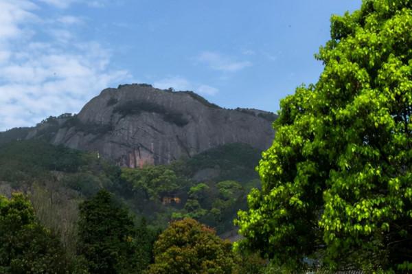 浙江又一景區走紅,幾百年的母子樟樹,距衢州市只有30公里 浙江又一景區走紅,幾百年的母子樟樹,距衢州市只有30公里