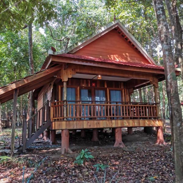 tree house bungalow 巢居（樹屋）：構木為巢，構造來源