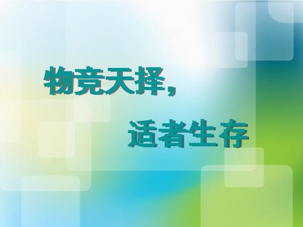 2.34億年前，一場200萬年的大雨，將恐龍扶上了霸主的寶座