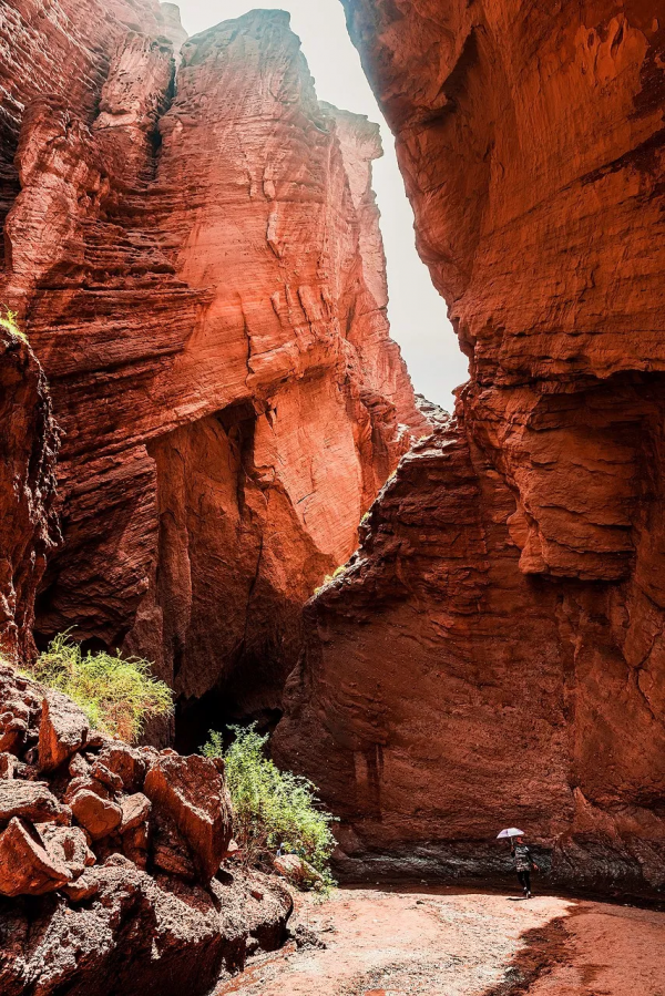 我去旅行，不是因為我有錢