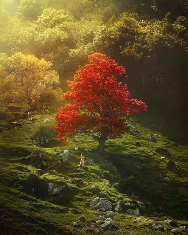 地球上50個最空靈的地方像走進童話中一樣