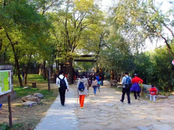 這個太行山餘脈進入京城的最後一道山樑，雪後有意想不到的美