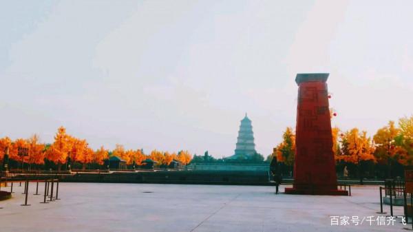 銀杏花語、傳說和旅遊景點推薦：又是一年深秋季，銀杏遍地撒金黃