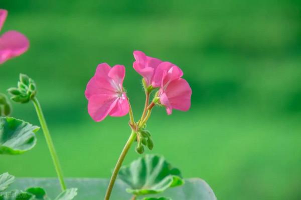 62歲阿姨的搭夥感受：比算計更討厭的，是得了便宜還賣乖