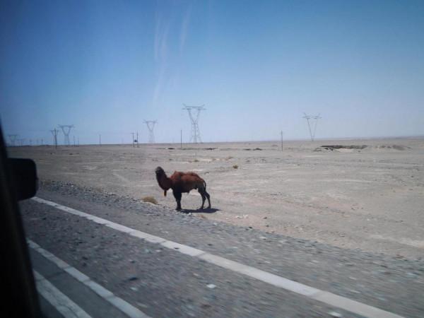 一路向西,去尋找荒涼的美 一路向西,去尋找荒涼的美