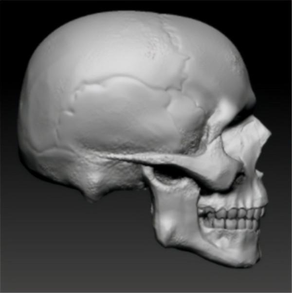 1997年，中科院對“猴娃”進行屍檢，研究者：它是小腦症患者