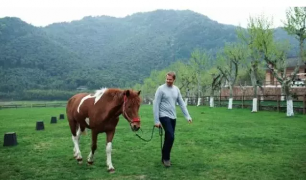 3個成功案例,1個反面借鑑案例 3個成功案例,1個反面借鑑案例