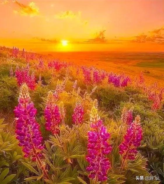 《老人言》總結出的精典