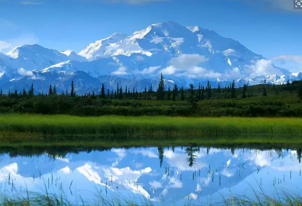 秋天的新疆，美成了桌布