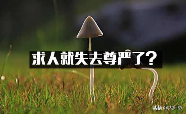 大師爺：求人就失去尊嚴了？