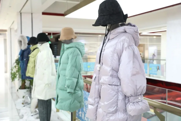 網際網路創業，你是不是那隻風口的豬？