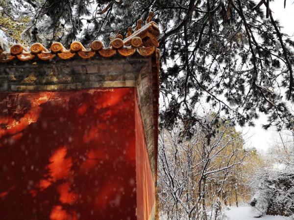 昌平龍山看雪(原創) 昌平龍山看雪(原創)