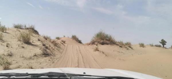 中國唯一的原始部落克里雅人，他們近況如何（青新甘13、14、15）