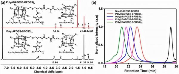 ACS Macro Letters：Janus奈米顆粒自組裝成單分子和低聚球形膠束