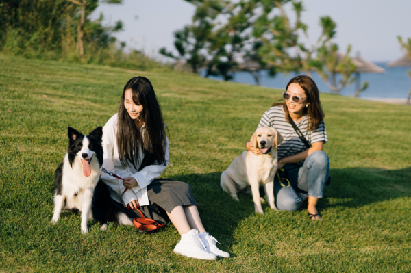 阿那亞新作,75m²獨梯獨戶寵物酒店,狗生圓滿不過如此 阿那亞新作,75m²獨梯獨戶寵物酒店,狗生圓滿不過如此