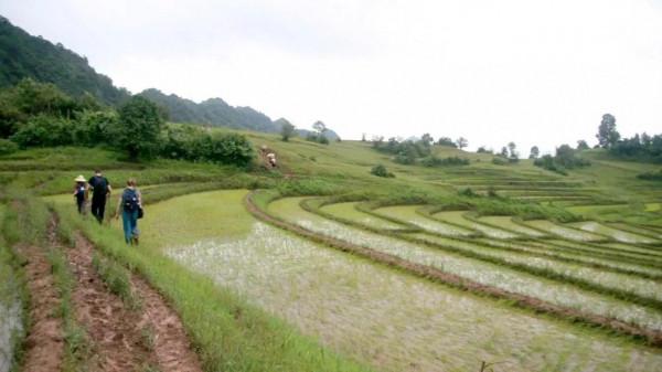 兩個女教師在緬甸偏遠農村的兩天一晚:缺電少水路難走,以為穿越 兩個女教師在緬甸偏遠農村的兩天一晚:缺電少水路難走,以為穿越