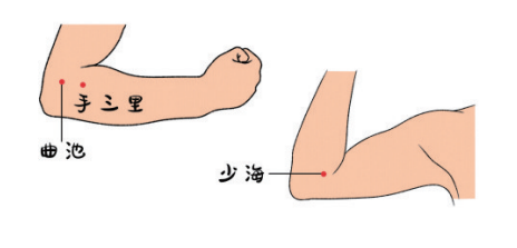 健康悅讀｜&vert;《中醫幫你看急症&mdash;&mdash;北京中醫醫院院長為您健康把脈》選登18：巧按穴位，防治痛風