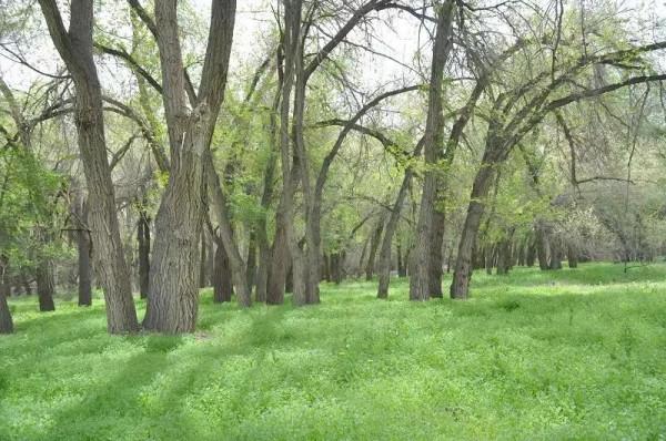 “老大”的故事 “老大”的故事