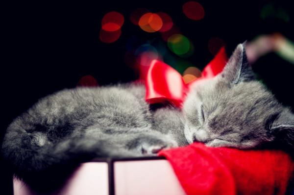 沒啥大的毛病,只是性格圓滑一些的話,肯定是會更招人喜歡的星座 沒啥大的毛病,只是性格圓滑一些的話,肯定是會更招人喜歡的星座