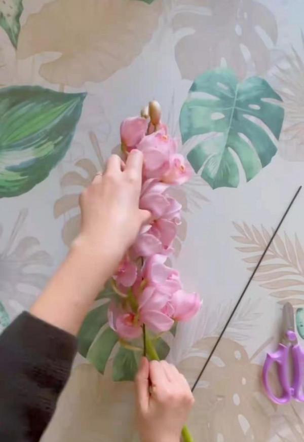 有一種不屈的堅韌。當之無愧的大家閨秀——大花蕙蘭 有一種不屈的堅韌。當之無愧的大家閨秀——大花蕙蘭