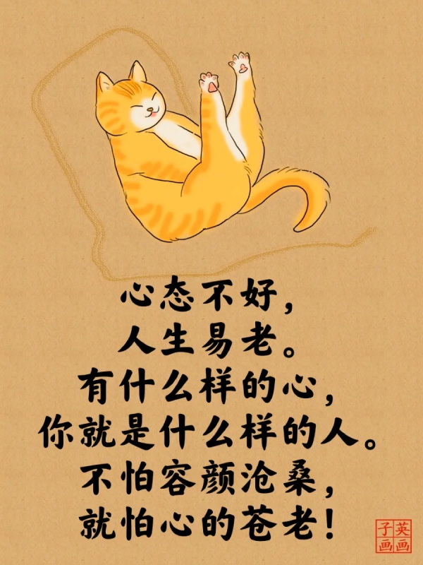 2022經典睿智的貓言貓語人生哲理大全