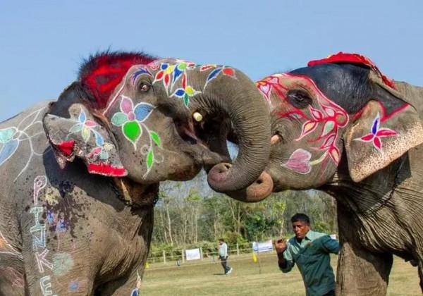 多種宗教融合下的高山眾神國度、被虔誠昇華的佛塔和印度教女神廟