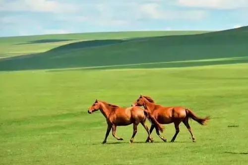 “蒙古國”現狀，帶你看看真實的外蒙古