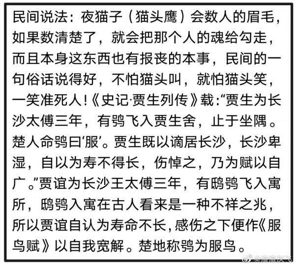 說文解字:甲骨文裡的貓頭鷹 說文解字:甲骨文裡的貓頭鷹