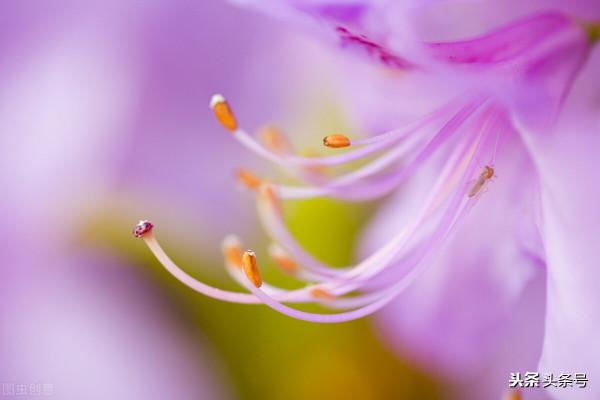 一個“熊孩子”與“熊家長”的故事