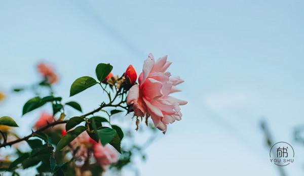 高情商的人,都有這4種處事方式 高情商的人,都有這4種處事方式