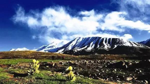 中國最美十大雪山，你去過幾個？