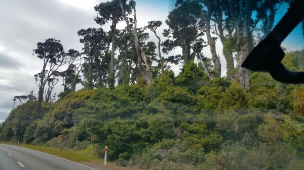 房車旅行紐西蘭完結篇含攻略~境外自駕規劃~那些不得不說的事 房車旅行紐西蘭完結篇含攻略~境外自駕規劃~那些不得不說的事