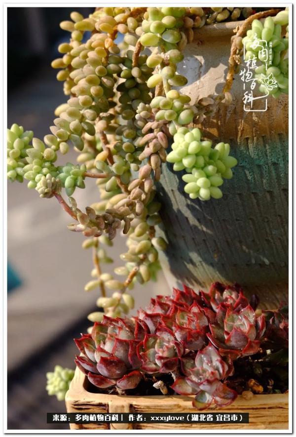 時光匆匆，一閃而逝，這世間萬物的美，都值得被記錄