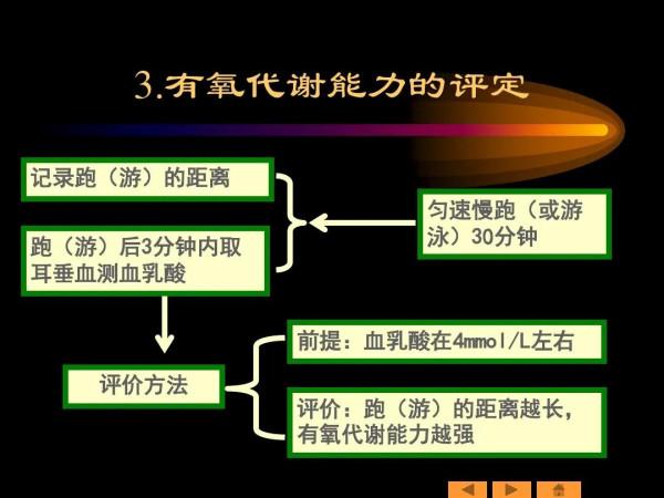 有氧運動代謝能力有壞處？