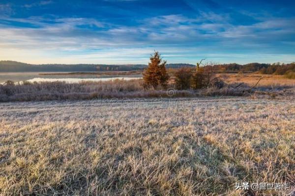 七律.韶華往事湧心頭