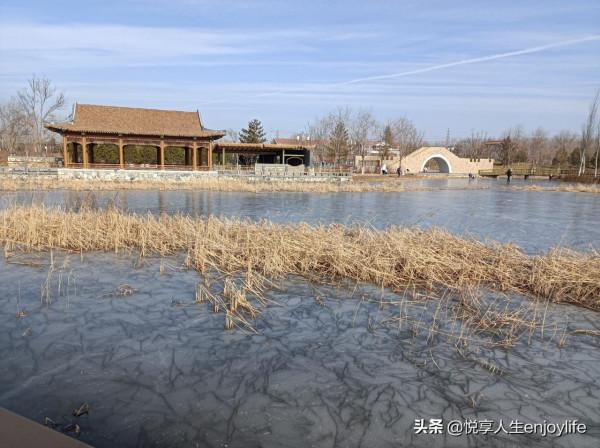 通州綠心森林公園南有個超大公園，免費停車免門票免費滑冰