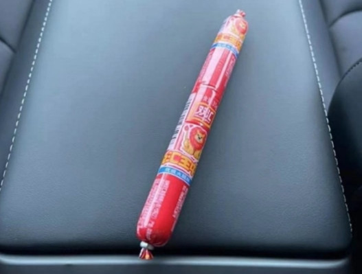 國外一車主全新特斯拉Model Y竟藏一根雙匯火腿腸