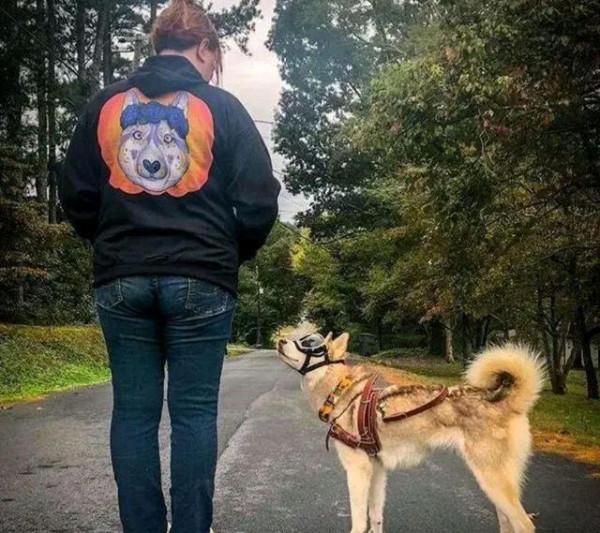 哈士奇一口氣叼回7只小貓,主人想發脾氣又不敢:自己的娃自己養 哈士奇一口氣叼回7只小貓,主人想發脾氣又不敢:自己的娃自己養