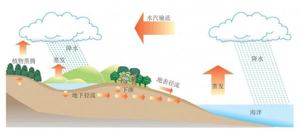 大海漲潮退潮的原理是啥？退潮以後的海水又去哪了？看完長知識了