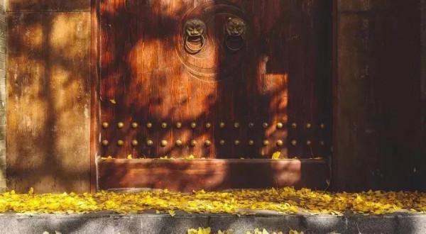 隨筆：抱山右走